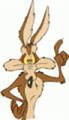 Wile.E.Coyote