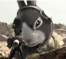 Rabbit89