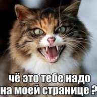 petro satana gaiduk