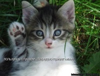 Алла Челомбитко