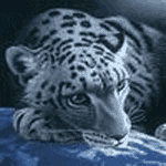 WitaLiy71