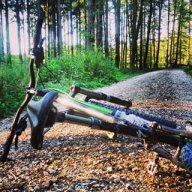 Specialized