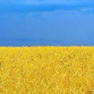 Виктор Порошенко