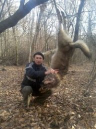 Роман Сага