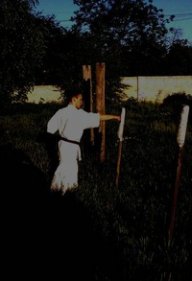 Дмитро Тараненко