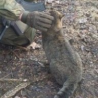 Юрка_Сыч