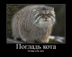 AleksTi