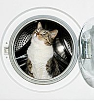 Денис Котовский