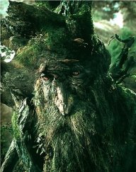 Fangorn357