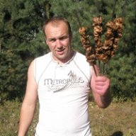 Серега Стельмах