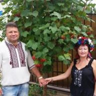 Скандинав73