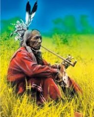 Apaches