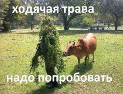 rmir