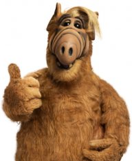 alf568