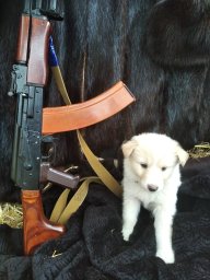 Andrij.UA07