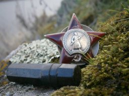 kladoiskatel15