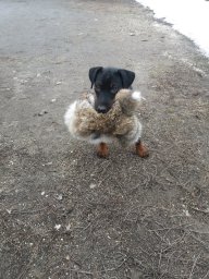 Мир Всем
