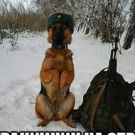 Витёк Копач