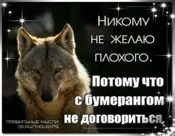 Виталий Широкий