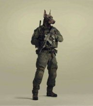 Dober_48