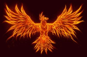 Phoenix 007