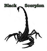 Black Scorpion UA