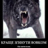 Vorozhb88