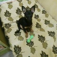 Супер завгар