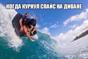 Алексей Тараненко