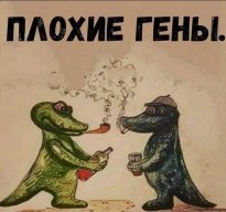 Utillizator +