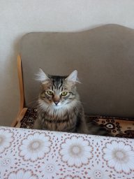 женя демчук