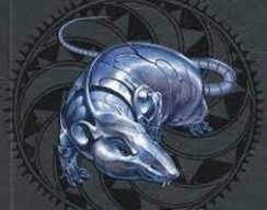 Stellrat
