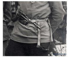 Владимир Енотик