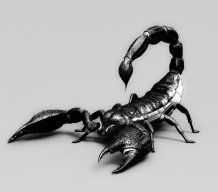 Scorpion1966