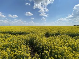 Вадим Андриенко
