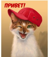Добриня 21