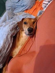 Ростислав453