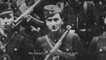 LevykPeremyskyi46