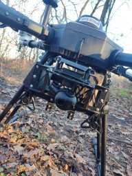 “Александрович”