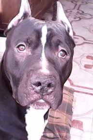 Александр_58