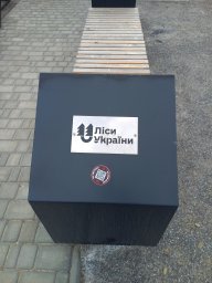 Скіфоз