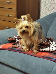 Александр Поздняков