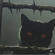 Алексей Мирошниченко