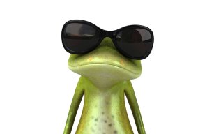 Bimmy