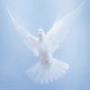 HolySpirit