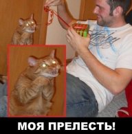 slava08