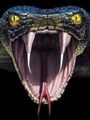 snake2007