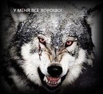 Zorge 65