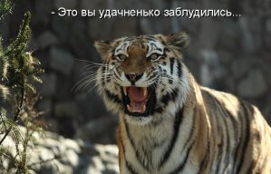 Евгений Макаревич