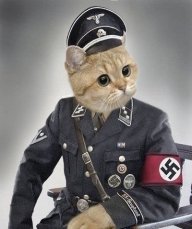 Vincent_EKC